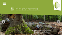 Neue Webseite Weltnaturerbe Buchenwälder / new website World Natural Heritage Beech Forests